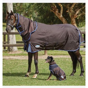 Weatherbeeta övergångstäcke 100 gram Comfitec Ultra Cozi II Detach-a-neck medium/lite